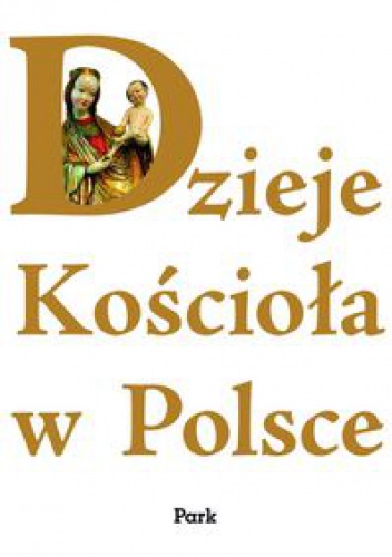 Okladka ksiazki dzieje kosciola w polsce