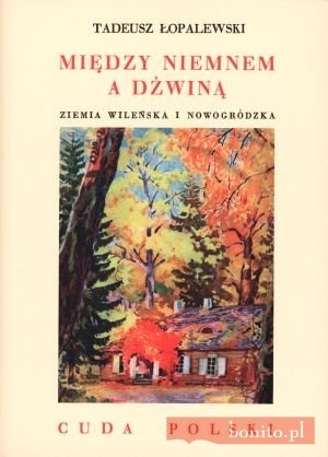 Okladka ksiazki miedzy niemnem a dzwina ziemia wilenska i nowogrodzka