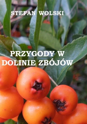 Okladka ksiazki przygody w dolinie zbojow