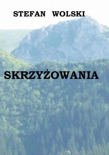 Okladka ksiazki skrzyzowania