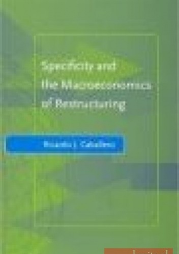 Okladka ksiazki specificity and the macroeconomics of restructuring